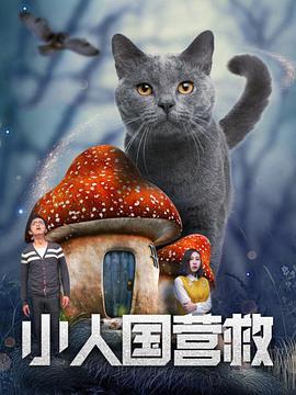 国产激情一区二区三区在线观看